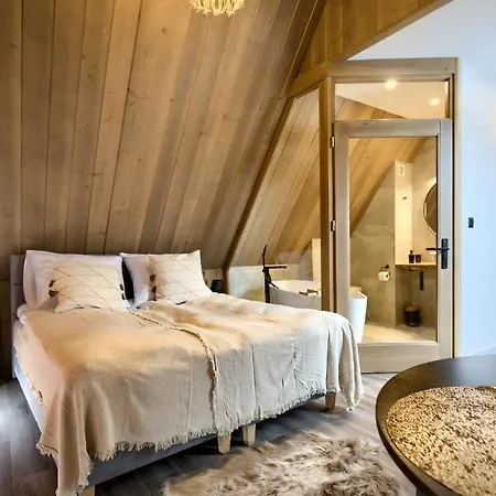 公寓 Hill House Apartamenty W Cichej I Spokojnej Okolicy Blisko Term Bania Goraca Balia,Bilard