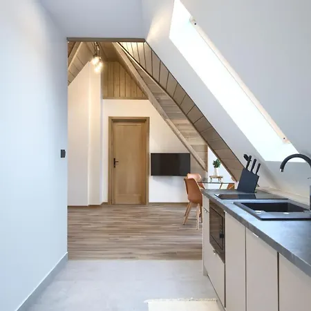 Hill House 公寓 Bialka Tatrzanska