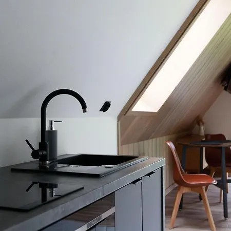 Hill House Apartamenty W Cichej I Spokojnej Okolicy Blisko Term Bania Goraca Balia,Bilard *