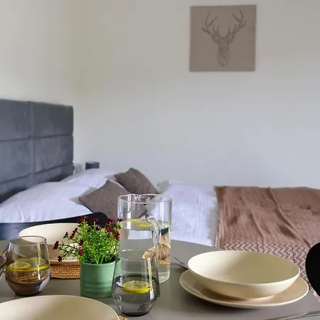 Hill House Apartamenty W Cichej I Spokojnej Okolicy Blisko Term Bania Goraca Balia,Bilard