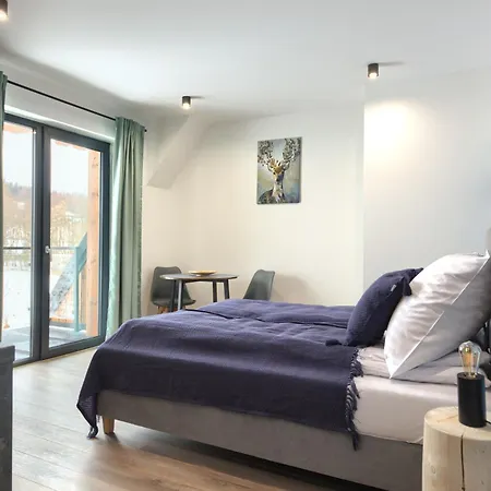 Hill House Apartamenty W Cichej I Spokojnej Okolicy Blisko Term Bania Goraca Balia,Bilard * Bialka Tatrzanska